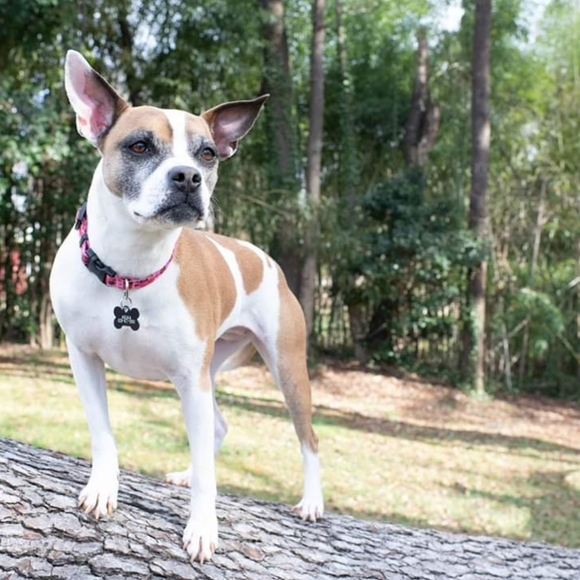 I'm Edith 🌻 - Picture 8 of 8